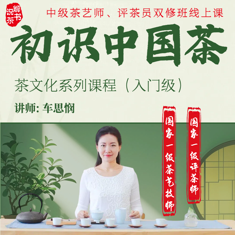 初学中国茶